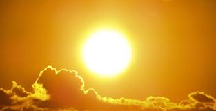 But groundhogs, mice, moles and other rodents i have 3 bell & howell solar mole repellers. 10 Best Solar Powered Animal Repellers Their Reviews 2021