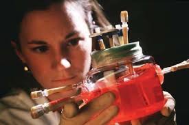 Framing the Engineering Outsourcing Debate: Placing the United States