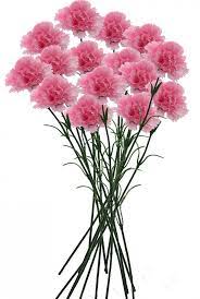 Pin On Artificial Flower Bunches And Sticks