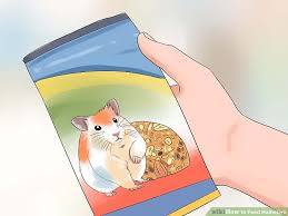 How To Feed Hamsters 10 Steps With Pictures Wikihow