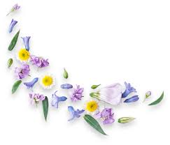 We have 3 convenient locations to serve you. La Jolla Florist Flower Delivery By Adelaide S