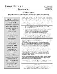 Impress the hiring manager and boost your chances of getting hired. Budget Analyst Resume Examples Business Analyst Resume Resume Summary