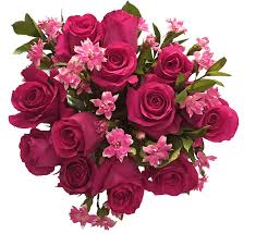 The king soopers was not welcome at first. Exquisite Pink Rose Bouquet Approximate Delivery Is 1 3 Days 1 Ct King Soopers