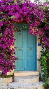 15 Astonishing Climbing Plants Ideas For Fences And Walls Beautiful Doors Doors Unique Doors