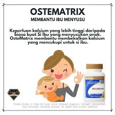 1) membina tulang dan gigi yang kuat. 6 Kelebihan Ostematrix Shaklee Pengedar Shaklee Kuala Lipis