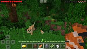 Minecraft v 1.12.1.1 full apk + mod. Minecraft 1 12 0 11 Mod Apk Unlocked No Damage More Apk Home