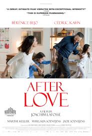 Love after love is an experience…. After Love 2016 Imdb