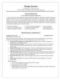 Present your credentials and achievements in a persuasive and professional format. Sales Account Manager Resume Summary Examples Sales Resume Examples Resume Objective Examples