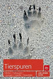 Jetzt tierspuren und fährten erkennen & bestimmen von gerd ohnesorge versandkostenfrei bestellen bei weltbild.de, ihrem *preisbindung aufgehoben **sonderausgabe in anderer ausstattung. Pdf Tierspuren Fahrten Frassspuren Losungen Gewolle U A Herunter Wotanwesioann