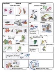 The Five Kingdoms Of Living Things Animal Classification Kingdom Homeschool