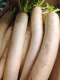 Check spelling or type a new query. A Long White Crunchy Vegetable From The Ribble Farm Fare Facebook
