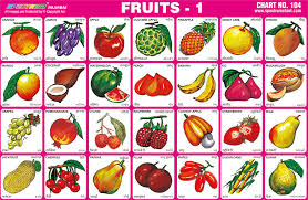 Spectrum Educational Charts Chart 104 Fruits 1