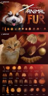 Animal Fur Procreate Brushes Procreate Brushes Procreate Brushes Free Procreate