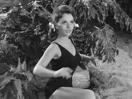 Halloween Inspiration The Castaways Gilligan S Island Tv Girls Mary Ann And Ginger