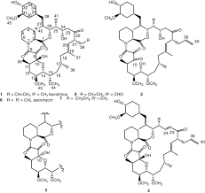 Image result for Tacrolimus