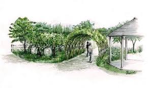 The Rhs Edible Garden Hampton Court Show 2011 Illustrations Society Of Architectural Illustration Landscape Design Landscape Architect Landscape Plans