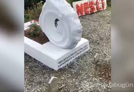 We did not find results for: Neslican Tay Mezari Basinda Anildi Foto Galerisi M Bursadabugun Com