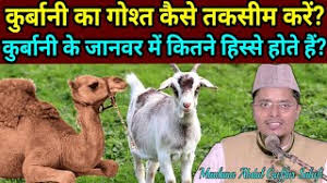 Qurbani mein hisse 7 ya 10 engr muhammad ali mirza speaker engineer muhammad ali mirza please subscribe to our channel. Qurbani Ka Gosht Kaise Taqsim Kare Bakra Camel Cow Me Kitne Hisse Hote Hai Maulana Abdul Gaffar Youtube