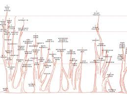 chart the family tree of bourbon whiskey gq