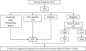 Additionally, if you try and do one transaction over $800 your card will automatically be declined. Infective Endocarditis In The Intensive Care Unit Critical Care Clinics