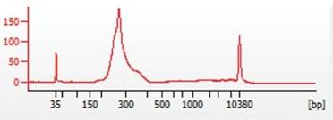 Genome Wide Comparison Of N Chip And X Chip Using Solid State Chromatrap Spin Column Technology
