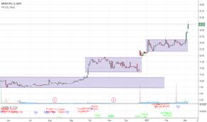 Mrus Stock Price And Chart Nasdaq Mrus Tradingview