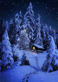Maybe you would like to learn more about one of these? Christmas Winter Wonderland Scene Novocom Top
