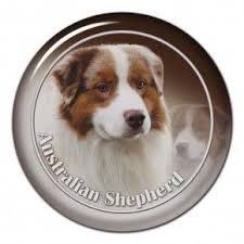 Australian Shepherd 101 C Australian Shepherd Dog Stickers 3d Dog