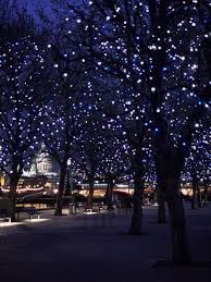 Fa50cd2b252b8caed470539926688cab Jpg 887 1181 Outdoor Landscape Lighting Landscape Lighting Outdoor Trees