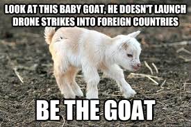 Look At This Baby Goat He Doesn T Launch Drone Strikes Into Foreign Countries Be The Goat Innocent Goat Quickmeme