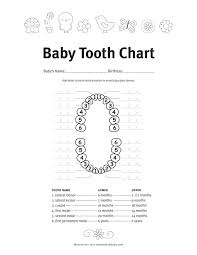 Baby Teething Symptoms And Schedule Five Spot Green Living