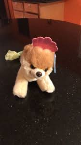 Used Brown And White Dog Plush Toy For Sale In Carol Stream Letgo Dog Toys Toy Sale White Dogs
