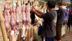 Maybe you would like to learn more about one of these? Mau Tahu Khasiat Dan Kandungan Gizi Daging Kelinci Ini Pemaparannya Magnet Indonesia