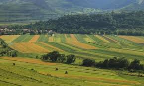 We did not find results for: Die 10 Besten Hotels In Satu Mare Rumanien Ab 24