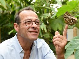 Velleron. Un peu d'Amazonie en Vaucluse avec la serre aux papillons  tropicaux