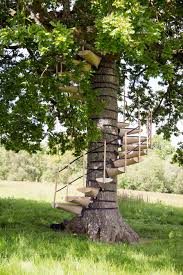 Home canopystair is a modular system of steps that can be attached without tools to form a spiral staircase around a tree trunk, allowing one to walk up into the canopy above. Canopystair Is A Spiral Staircase That Straps Around A Tree Trunk