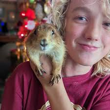 Did you know a Prairie Dog is all so a Squirrel