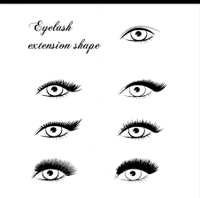 Fact About Lashes Barbie Doll Eye Lash Extention Facebook