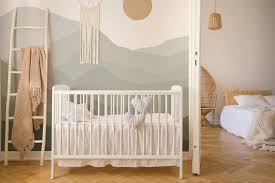 Baby Boy Nursery Paint Ideas