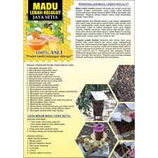 Minum satu sudu besar pada waktu pagi dan sebelum tidur pada waktu malam. Madu Lebah Kelulut Jaya Setia Asli 100 Dari Ladang 55 Gm Shopee Malaysia