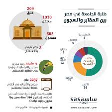 الحراك الطلابي في الجامعات المصرية منذ الانقلاب العسكري ساسة بوست Military Coup Egyptian Pie Chart