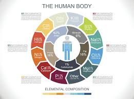 Elements In The Human Body And What They Do
