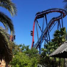 Sheikra Roller Coaster At Busch Gardens Busch Gardens Roller Coaster Busch Gardens Tampa