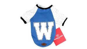 Dog Jacket Blue College Kopek Kiyafet Ceket Yagmurluk Mont Doggyndog
