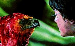 This legendary bird burns in a fire and rises from the ashes again. Phonix Tattoo Bedeutung Bilder Des Feuervogels Desired De