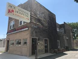 Maybe you would like to learn more about one of these? Ace Animal Hospital Home Facebook