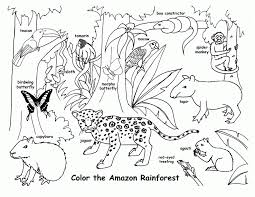 Jungle coloring pages can help teach your children which animals live in the jungle. Free Printable Rainforest Coloring Pages Coloring Home