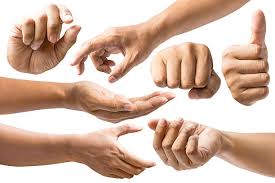 Image result for hands