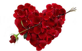 10 Rose Flower Wallpapers Valentines Flowers Valentine Flower Arrangements Rose Flower Wallpaper