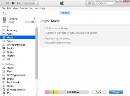Each time you connect your iphone to your computer from now on, itunes should. How To Sync Ipod With Itunes